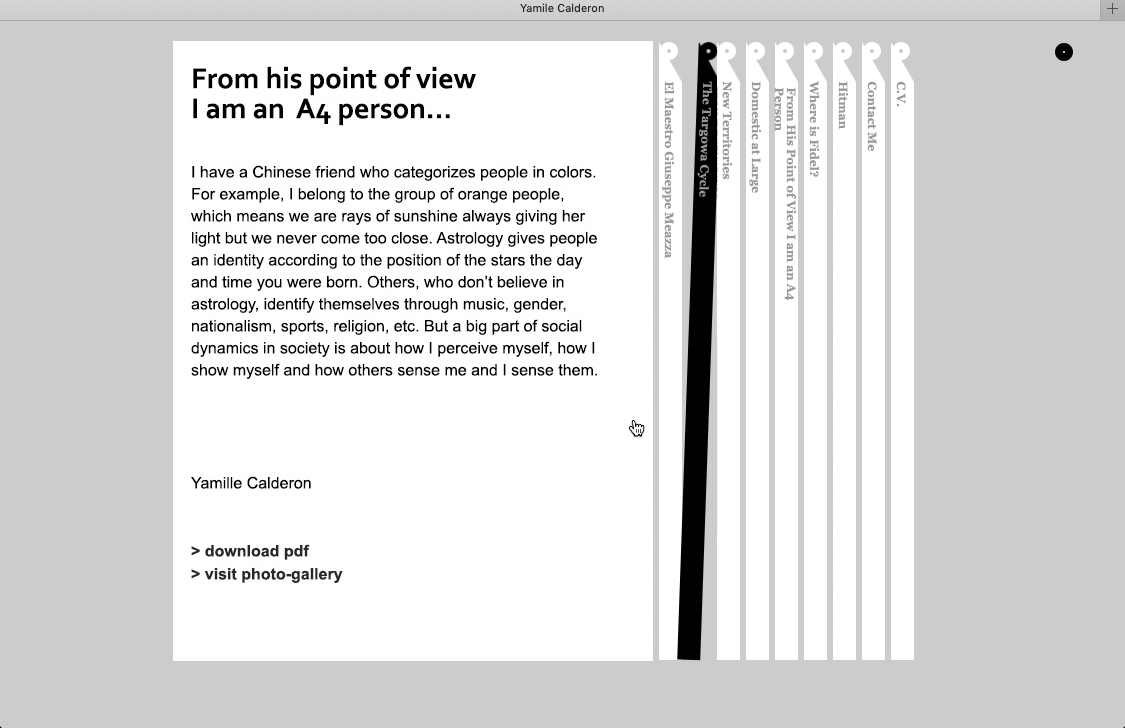 Yamile Calderon Artist Website 2010