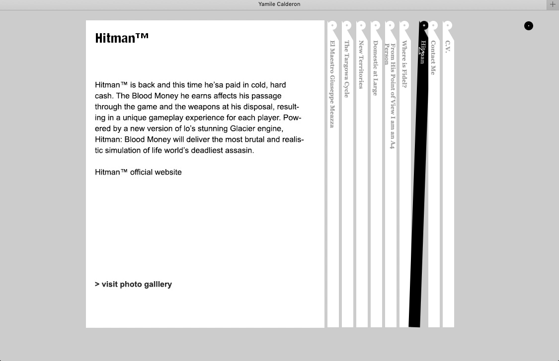 Yamile Calderon Artist Website 2010