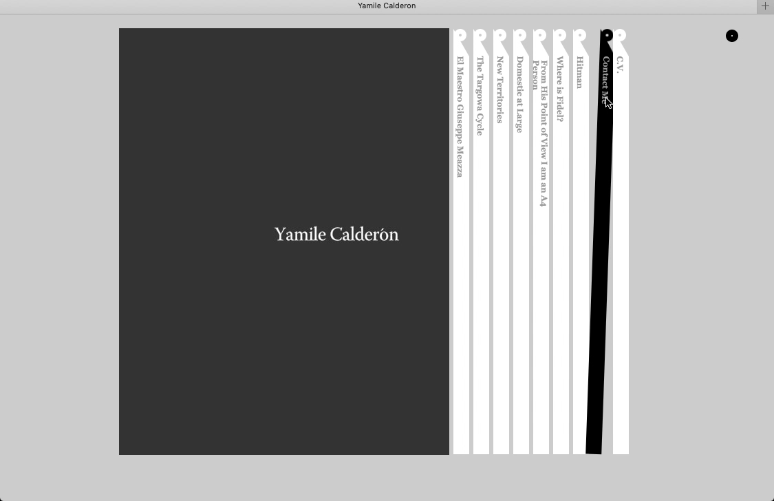 Yamile Calderon Artist Website 2010